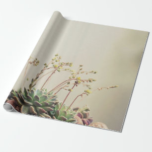 KLEIN GARDEN SUCCULEMENT CADEAUPAPIER