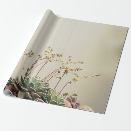 KLEIN GARDEN SUCCULEMENT CADEAUPAPIER (Uitgerold)