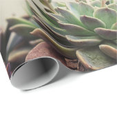KLEIN GARDEN SUCCULEMENT CADEAUPAPIER (Rol Hoek)