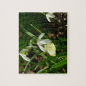 Klein Geaderd Witje en Sneeuwklokje Legpuzzel (Verticaal)