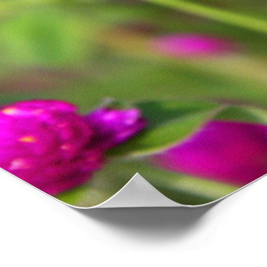 Klein gedeelte 1 poster (Hoek)