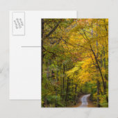 Klein grind, met herfstkleuren briefkaart (Voorkant / Achterkant)