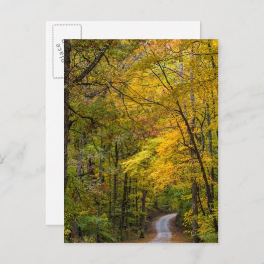 Klein grind, met herfstkleuren briefkaart (Voorkant / Achterkant)