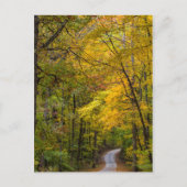 Klein grind, met herfstkleuren briefkaart (Voorkant)