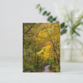 Klein grind, met herfstkleuren briefkaart (Staand voorkant)