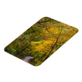 Klein grind, met herfstkleuren magneet (Linkerzijde)