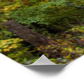 Klein grind, met herfstkleuren poster (Hoek)