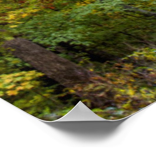 Klein grind, met herfstkleuren poster (Hoek)