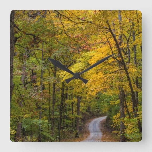 Klein grind, met herfstkleuren vierkante klok (Voorkant)