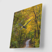 Klein grind, met herfstkleuren vierkante klok (Hoek)