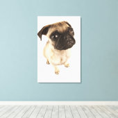 Klein hondenras met een kort gemuild gezicht. canvas afdruk (Insitu (Houten vloer))