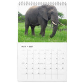 Klein kalender met wilde dieren (Mar 2027)