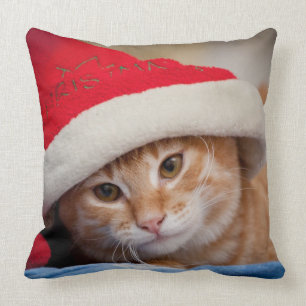 Klein Katje in Rode Kerstmuts Kussen