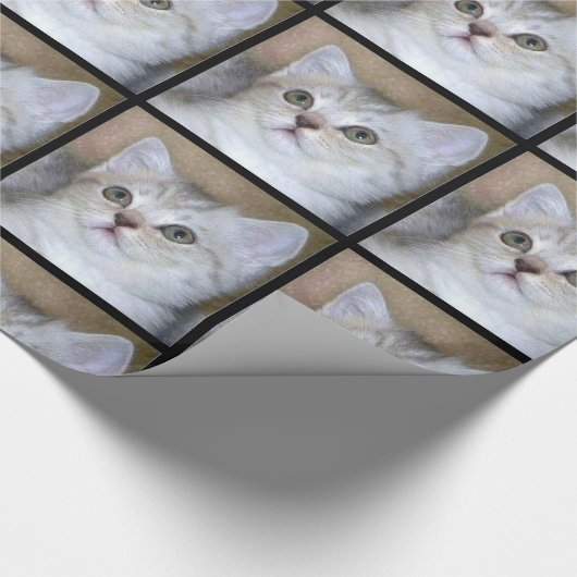 Klein kattenpakpapier cadeaupapier (Hoek)