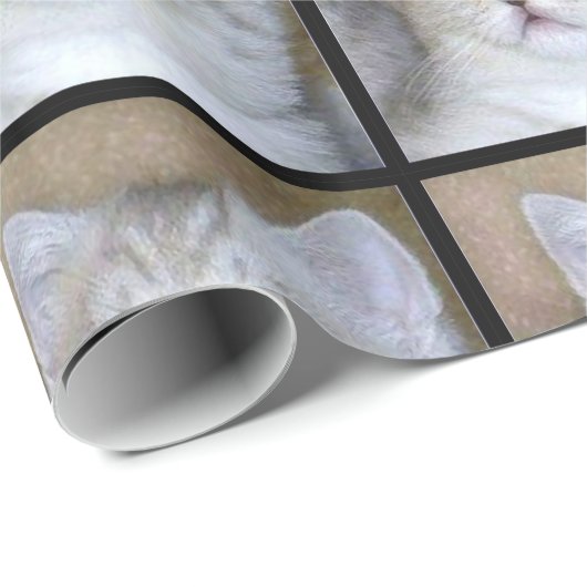 Klein kattenpakpapier cadeaupapier (Rol Hoek)