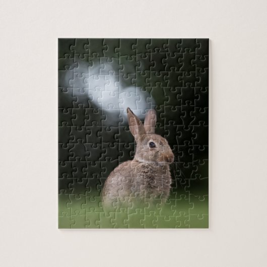 Klein Konijn Natuur Foto Legpuzzel (Verticaal)