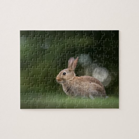 Klein Konijn Natuurfoto Legpuzzel (Horizontaal)