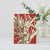 Klein koraal in rood briefkaart (Staand voorkant)