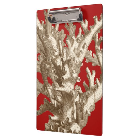 Klein koraal in rood klembord (Links)