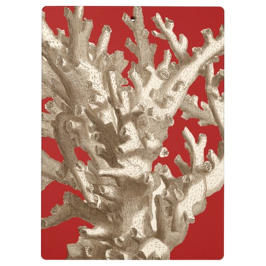 Klein koraal in rood klembord (Achterkant)