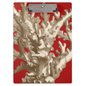 Klein koraal in rood klembord (Voorkant)
