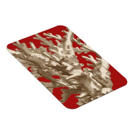 Klein koraal in rood magneet (Rechterzijde)