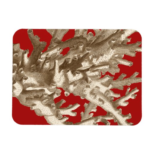 Klein koraal in rood magneet (Horizontaal)