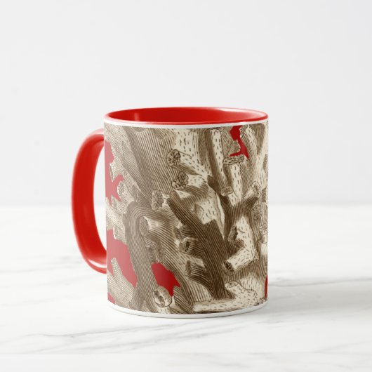 Klein koraal in rood mok (Voorkant links)