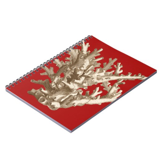 Klein koraal in rood notitieboek (Linkerzijde)