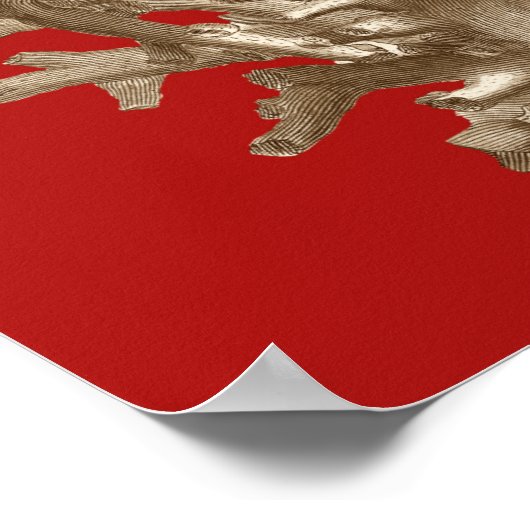 Klein koraal in rood poster (Hoek)