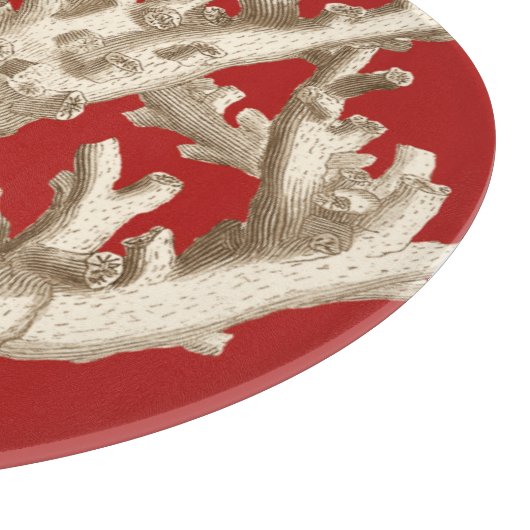 Klein koraal in rood snijplank (Hoek)