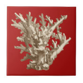 Klein koraal in rood tegeltje (Voorkant)