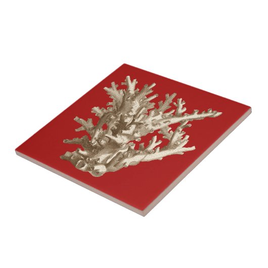 Klein koraal in rood tegeltje (Zijkant)