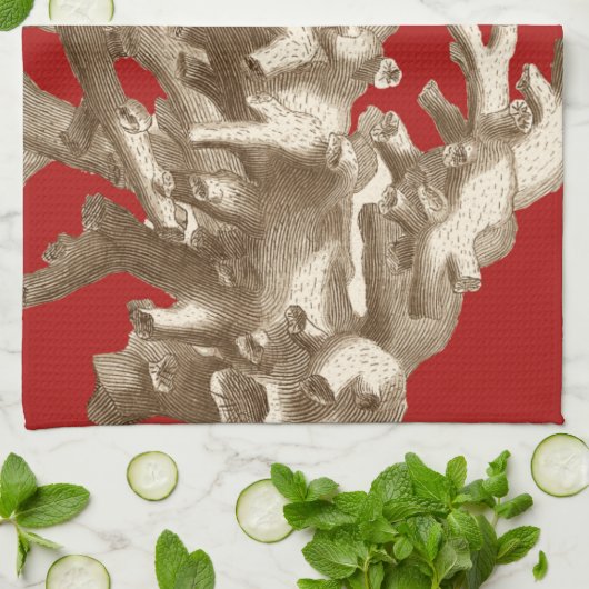 Klein koraal in rood theedoek (Gevouwen)