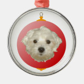 Klein Maltezer Kerst Ornament (Voorkant)