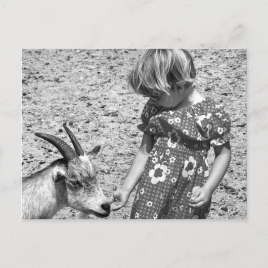 Klein meisje dat een geit voedt Zonnebloempitten 1 Briefkaart (Voorkant)