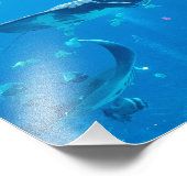 KLEIN/MIDDELGROOT Poster #Y020 op Foto (Hoek)