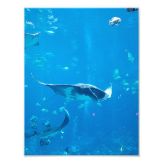 KLEIN/MIDDELGROOT Poster #Y020 op Foto