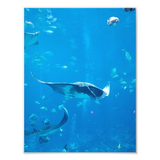 KLEIN/MIDDELGROOT Poster #Y020 op Foto (Voorkant)