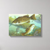 Klein-mondbassschilderen Canvas Afdruk (Voorkant)