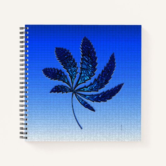 Klein N Blauw..... Notitieboek (Voorkant)