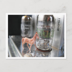 Klein paartje in de  McIntosh Briefkaart