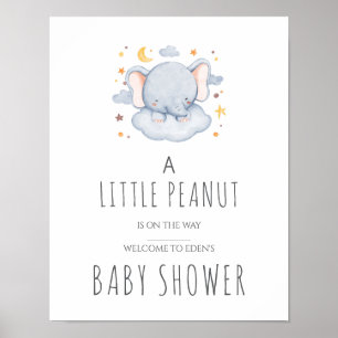 Klein Pinda Baby Shower Bord – Jongen Poster