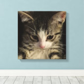 Klein poesje canvas afdruk (Insitu (Houten vloer))