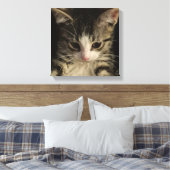 Klein poesje canvas afdruk (Insitu (Slaapkamer))