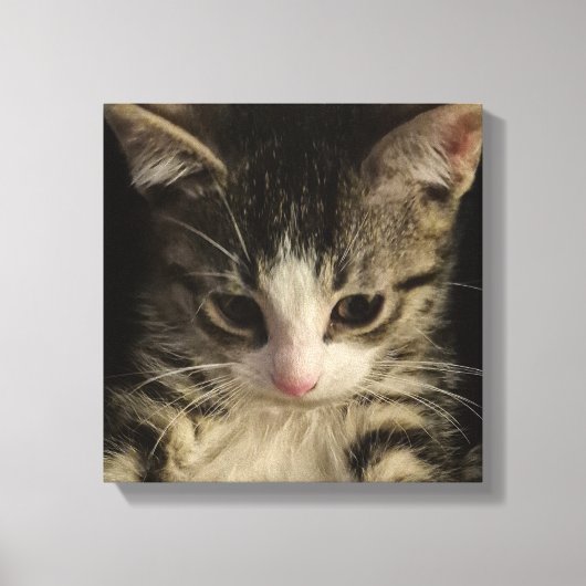 Klein poesje canvas afdruk (Voorkant)