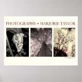 Klein Poster (22,5 x 15 inch) (Voorkant)