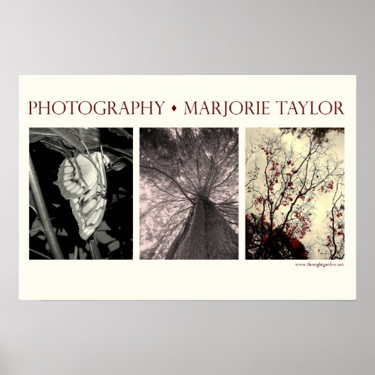 Klein Poster (22,5 x 15 inch) (Voorkant)