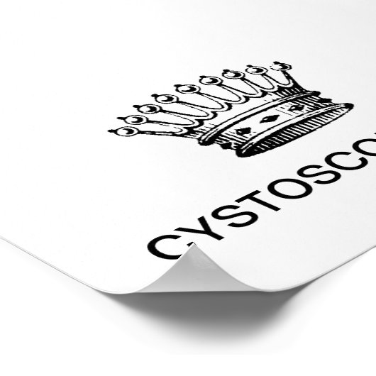 KLEIN POSTER - CYSTOSCOPY KING (Hoek)