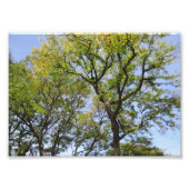 KLEIN Poster # L003 op foto (Voorkant)